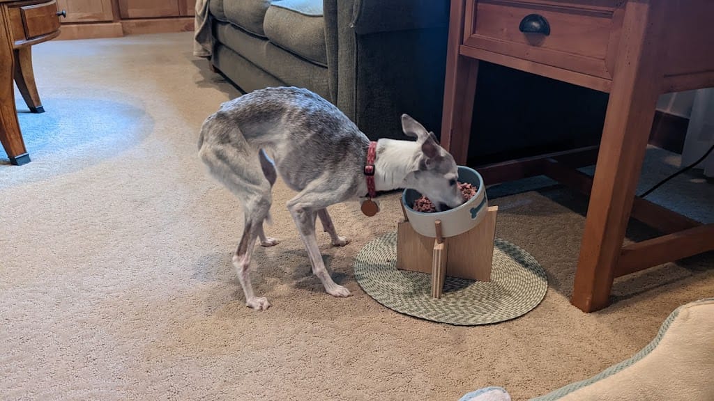 I Made a Raised Dog Bowl Stand