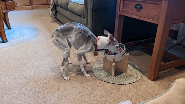 I Made a Raised Dog Bowl Stand